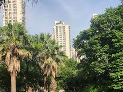 -苏州河梦清园环保主题公园