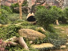 -石排湾郊野公园