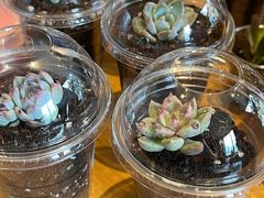 -星巴克(嘉兴桐乡吾悦广场店)