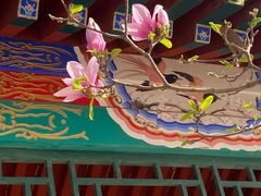 -丰台花园
