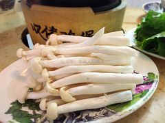 海鲜菇-芳村榕树头叹佬鸡煲(体育西店)
