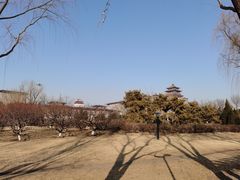 -莲花池公园