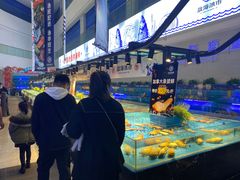 -驻海渔市(置信店)