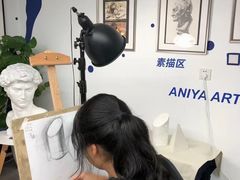 -阿妮亚少儿美术书法(望京店)