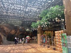 -杭州开元森泊度假乐园