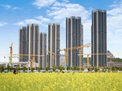 -光明小镇欢乐田园