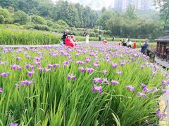 -龙头寺公园