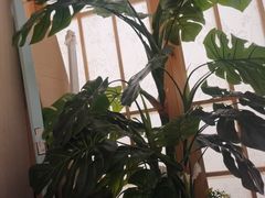 -东方之珠洗浴休闲广场(南开店)