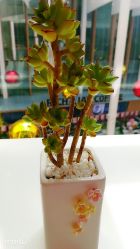 -安利上海体验馆