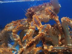 -阿伟海鲜楼·福建菜(延寿店)