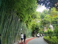 -西安市长乐公园