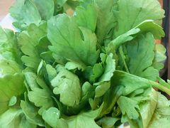 -广味鲜潮汕牛肉火锅(延安三路店)