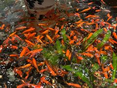 -龙源茶坊(白银路店)