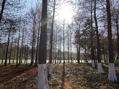 -西溪国家湿地公园