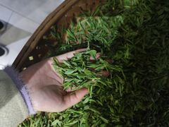 -阿巧茶庄
