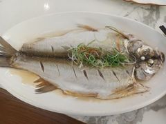 -蟹天蟹地农家菜·阳澄湖大闸蟹(浅水湾店)
