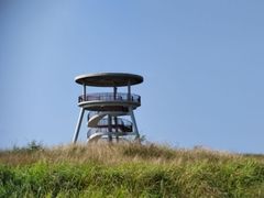 -福田红树林生态公园