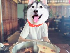 -亿诣蝎府炸酱面羊蝎子火锅(酷车小镇店)