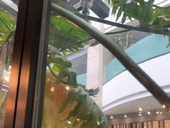 -大书房咖啡(中传国交店)