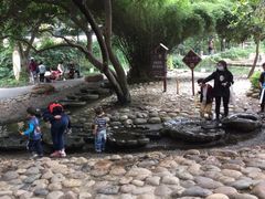 -成都市活水公园