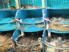 -正亮农家院·海鲜本地菜