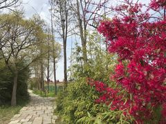 -华东政法大学松江校区-停车场