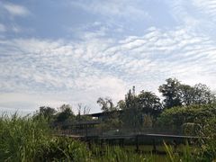 -白鹭湾湿地公园