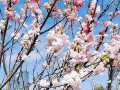 -观澜湖生态运动公社