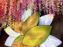 -正佳雨林生态植物园