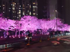 -西北湖绿化广场