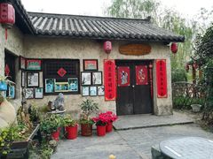 -合肥滨湖国家森林公园