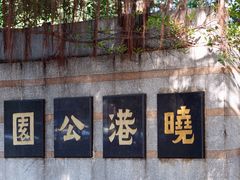 -晓港公园