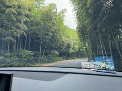 -莫干山风景区