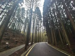 -山王坪喀斯特国家生态公园