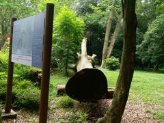 -南宁良凤江国家森林公园