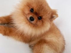 -JANICE WONG coffee (龙江店)