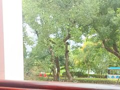 -橘洲1910花园江景西餐厅