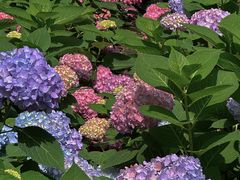 -常州古运河南大街文化旅游区-人民公园