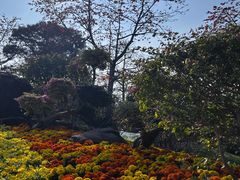 -广州莲花山旅游区