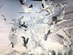 -中国湿地博物馆
