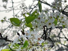 -梁鸿国家湿地公园