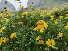 -靖西鹅泉风景区