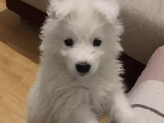 -KIDults童伴儿亲子餐厅(达美中心广场店)