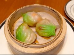 -广州富力君悦大酒店空中花园