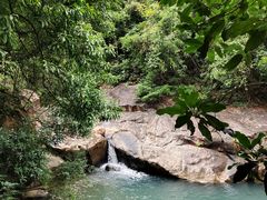 -广州白江湖森林公园