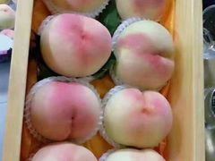 -南汇水蜜桃采摘(大团店)