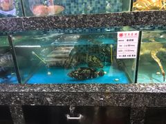 水产区-宝燕壹号(徐汇店)