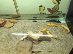 -台州海洋世界