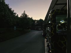 -清迈夜间动物园