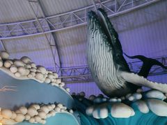 -烟台海昌鲸鲨海洋公园
